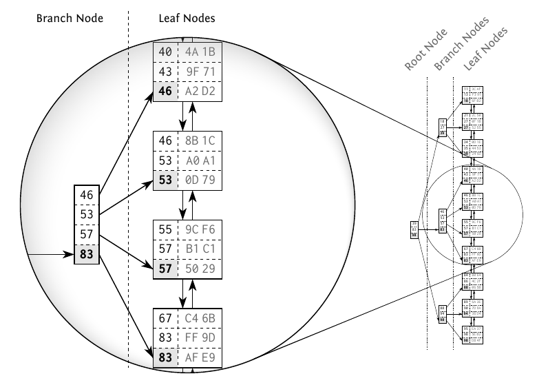 Search Tree